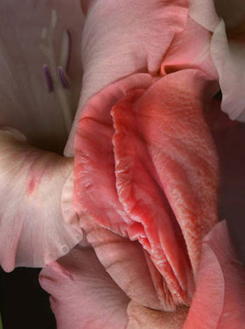 Natural Ways to Promote Vaginal Health: Supporting Wellness, Comfort, and Pleasure