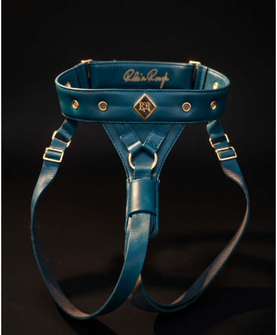 Body-Inclusive Strap-On Harnesses Create Better Trust and Connection